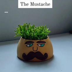 MUSTACHE.jpg The Mustache Vase
