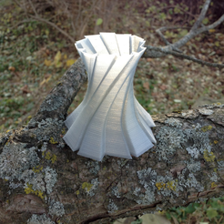 Capture_d__cran_2015-11-20___09.38.38.png Бесплатный STL файл Freeform Vase・3D-печатная модель для скачивания, Shapescribe