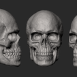 Screenshot_9.png Male Skull
