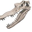 05.jpg Spinosaurus aegypticus