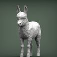 Donkey-baby2.jpg Modelo de impresión 3D de bebé burro