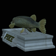 Pike-statue-13.png fish Northern pike / Esox lucius statue detailed texture for 3d printing