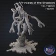Resin4.jpg Prinzessin der Schatten Druckdateien