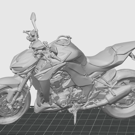 Kawasaki z1000 Scanning