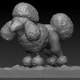 Poodle.jpg Download STL file Poodle • 3D printer model, elitemodelry