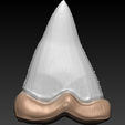 2.png STL file Shark Tooth・3D printer model to download