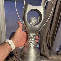 Greek Soccer Trophy: Exquisite 3D Replica