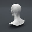 Facial-Anatomy_Main-Camera_002.png Anatomia dos músculos da cabeça 2.0