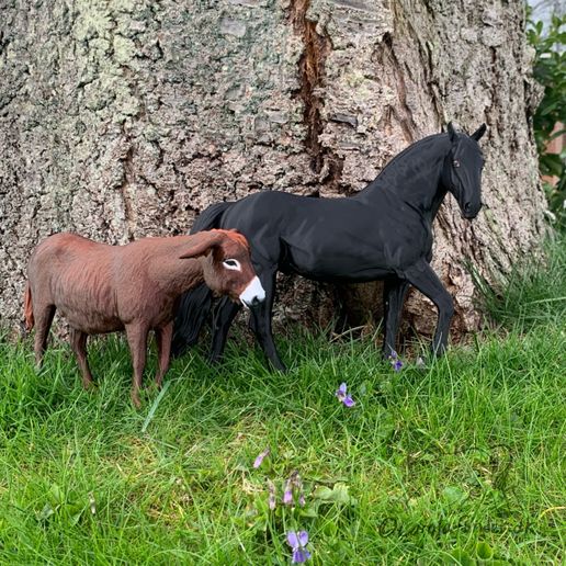 Dulcineia - Burro de Miranda and Sky dragon - Crossbreed Stallion