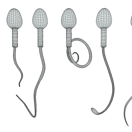 Wire-3.png Sperm Morphology: Normal and Abnormal