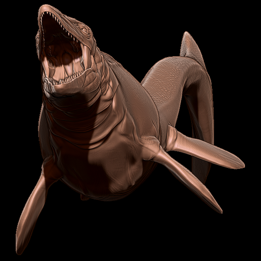 Mosasaurus-h-matcap-2.png Mosasaurus hoffmanni 3D print model