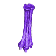 Metatarsals_Left_Part_01.OBJ OBJ file Life size baby T-rex skeleton - Part 03/10・3D printing model to download