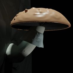 hongazo.jpg Fictional original mushroom