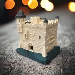 CBA5BF35-6BF2-47C6-A050-1C1FFE14A4B4.jpeg 3D file Escape from the Maze Tower・3D printing template to download