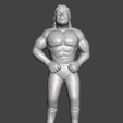Screenshot-1057.png WWE WWF LJN Style Rick Rude Figure
