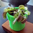 IMG_20200510_090055.jpg Archivo STL gratuito Venus Fly Trap Planter (auto-riego)・Objeto imprimible en 3D para descargar