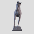 07.png Horse Statue