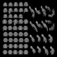 6.png Fichier 3D Rapaces de la légion nocturne [PRÉ-SUPPORTÉ]・Design pour imprimante 3D à télécharger
