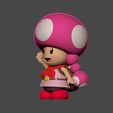 ZBrush-Document2.jpg mario toadette