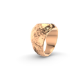 ViewCapture20251127_151110.png Modèle de bague texturée Rock