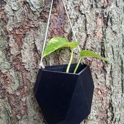 {SEVEN} Jardinières géométriques suspendues au mur