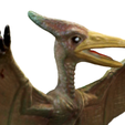 5.png Pteranodon Fliegender Dinosaurier