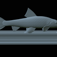 Gudgeon-statue-24.png fish gudgeon / gobio gobio statue detailed texture for 3d printing