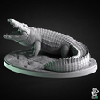 crocodile.png Crocodile Bundle - Animals