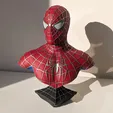 IMG_20220226_161633_113.jpg Spider-Man Bust (Sam Raimi Version)