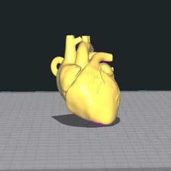 1.jpg Fichier STL Porte-clés "cœur anatomique・Plan pour imprimante 3D à télécharger, AriasCreative