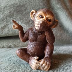 Free STL file Gorilla tag Finger painter monkey with winter cosmetics 🦍・3D  printable object to download・Cults