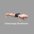 Chaturanga-Dandasana.png YOGA