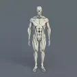 25.webp Human anatomy collection, realistic in 3d, all parts of the body in 3d in 360 degrees, in 3d