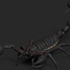Scorpion2.png Scorpion