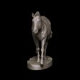 render34.jpg Horse 1-6 scale ready to 3D print - STL 3D print model