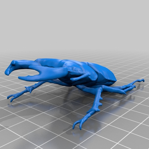 27a32b8f2063db17d5c8105f4b41665c.png Dorcus