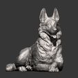 German-Shepherd12.jpg German Shepherd 3D print model