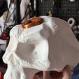 skll.jpg Another Gold Hoarder Skull