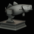 coalfish-open-mouth-statue-box-51.png COALFISH / POLLACHIUS VIRENS trophy with storage space for 3d printing