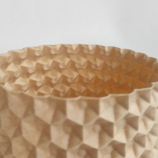 IMG_20240218_083532.jpg Blumentopf04