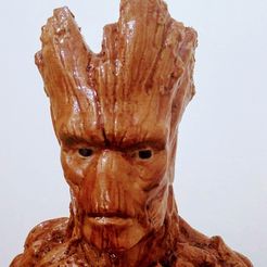 IMG_20201206_184710.jpg groot pot