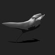 06_manta-ray-mantas-3d-print-aquarium-3d-model-4db104d859.jpg Manta Ray - Mantas - 3D Print - Aquarium