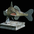 zander-trophy-5.png zander / pikeperch / Sander lucioperca fish in motion trophy statue detailed texture for 3d printing