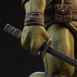 4.png Leonardo - TMNT