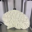 IMG_3956.jpg Free STL file super_brain_maze・3D print design to download
