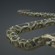 05.jpg DOWNLOAD PYTHON 3d model - animated for blender-fbx-unity-maya-unreal-c4d-3ds max - 3D printing PYTHON SNAKE ANACONDA SNAKE ANACONDA VIPER SNAKE PYTHON COBRA PITON BASILIK BOA