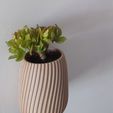 spiral-planter-2.jpg Wall mounted planter MODULAR Spiral design