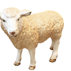 Sheepschleich.png Schleich - Sheep