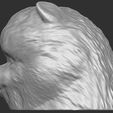 13.jpg Puppy of Pomeranian dog head for 3D printing