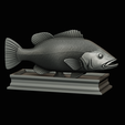 Peacock-Bass-statue-4-3-19.png FISH in motion Peacock bass (Cichla ocellaris) stone base for 3d printing